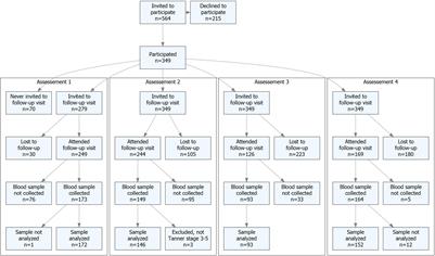 Physical Activity in Late Prepuberty and Early Puberty Is Associated With High Bone Formation and Low Bone Resorption